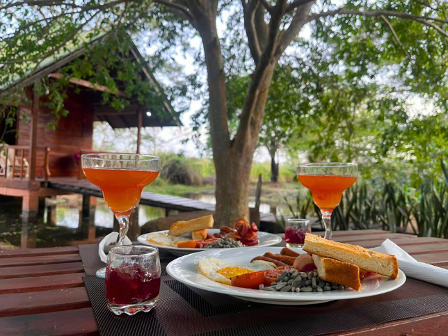 Breakfast with garden view